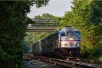 VRE 307